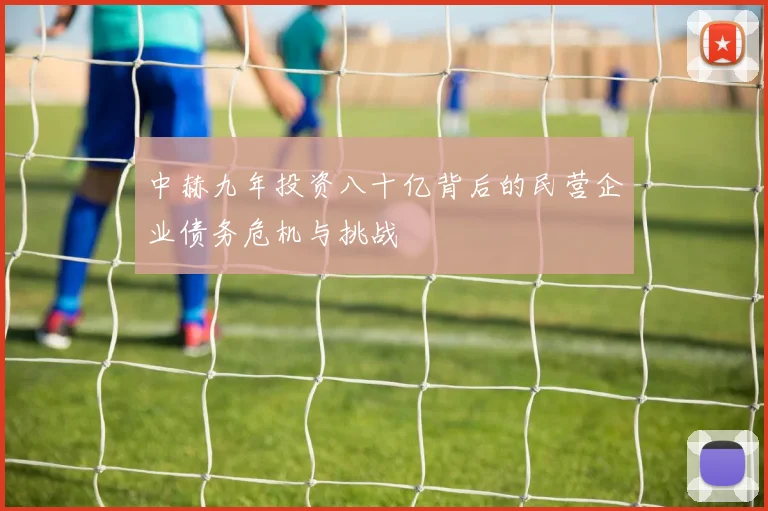 中赫九年投资八十亿背后的民营企业债务危机与挑战
