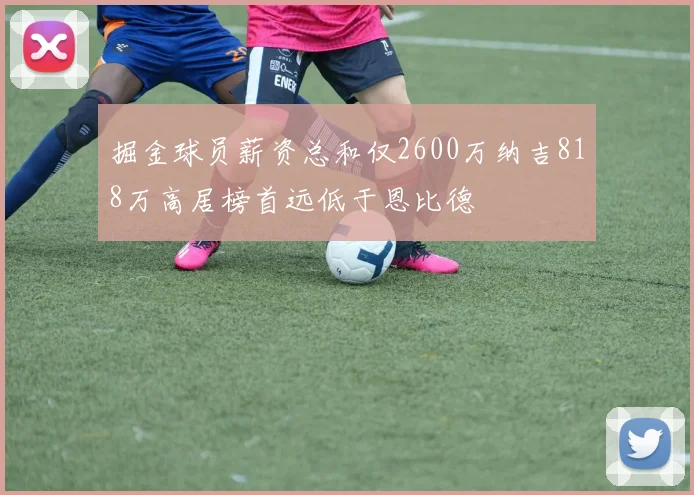 掘金球员薪资总和仅2600万纳吉818万高居榜首远低于恩比德